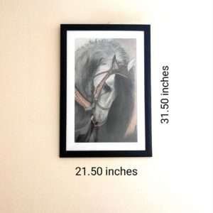 Equine-Beauty