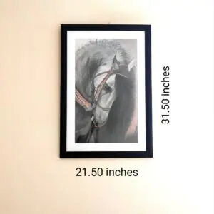 Equine-Beauty