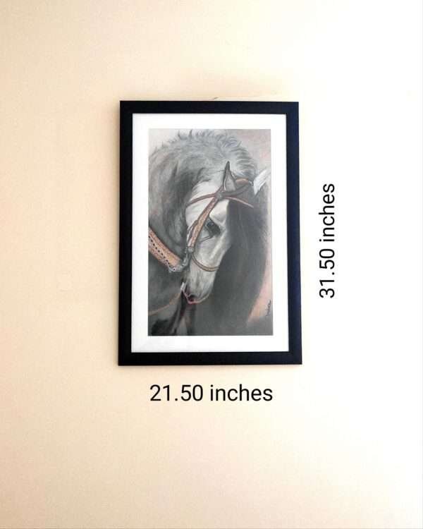 Equine-Beauty
