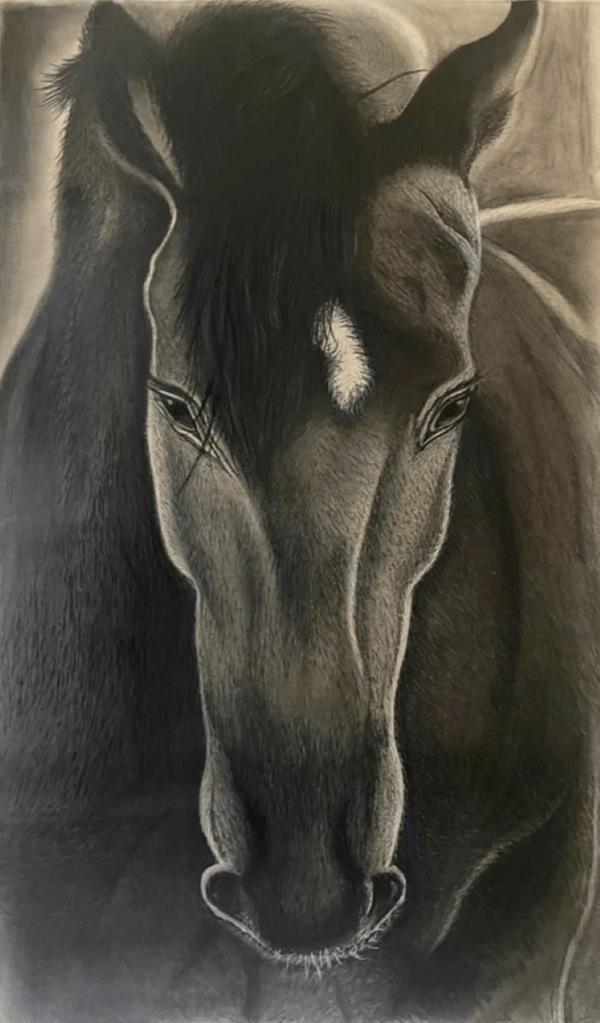 Horse-Star