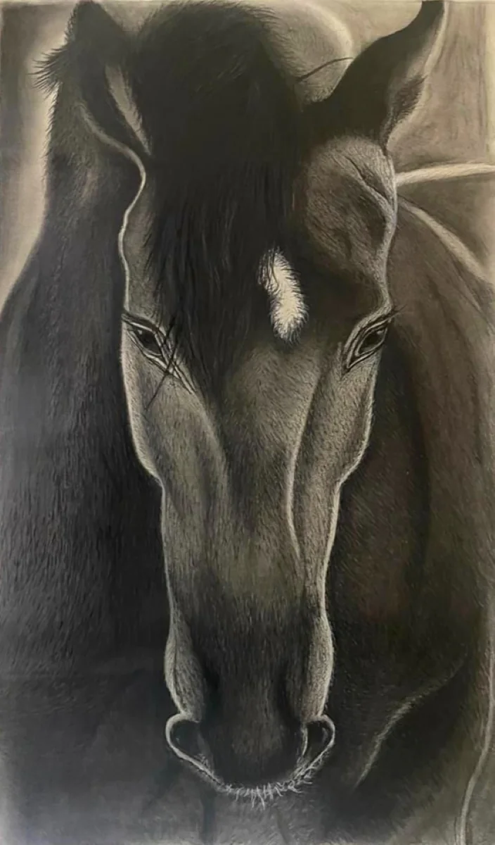 Horse-Star
