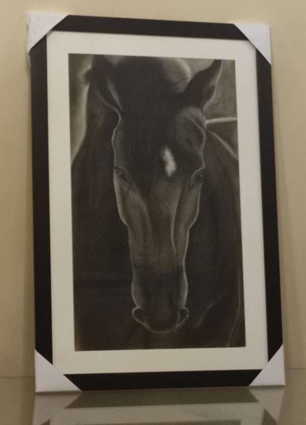 Horse-Star2