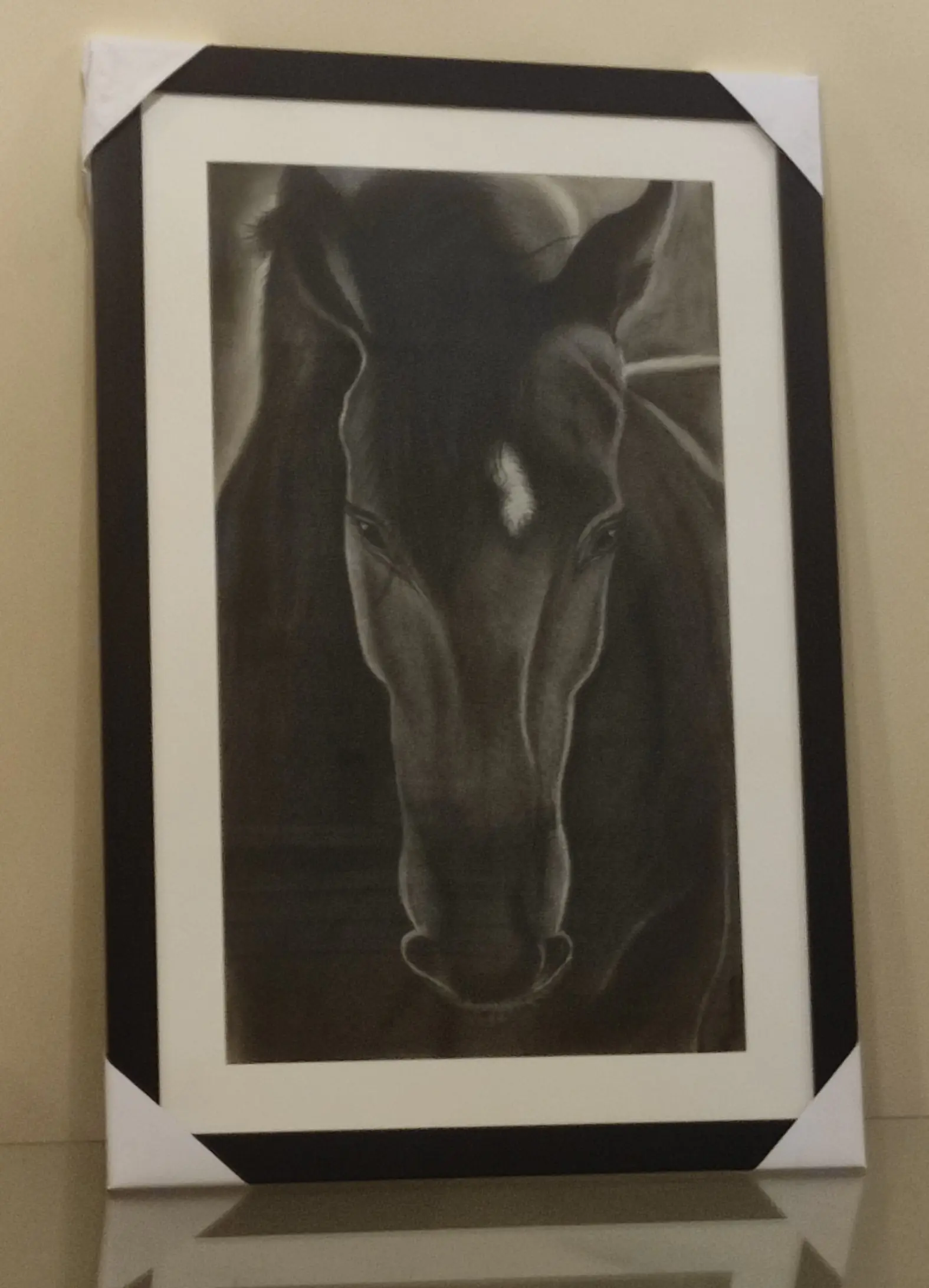 Horse-Star2