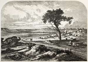 etching printmaking art